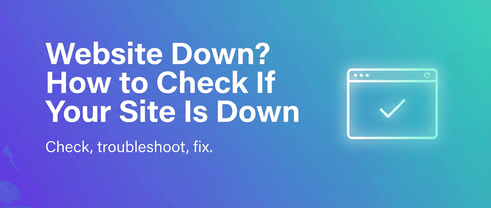 Website Down? How to Check If Your Site Is Down